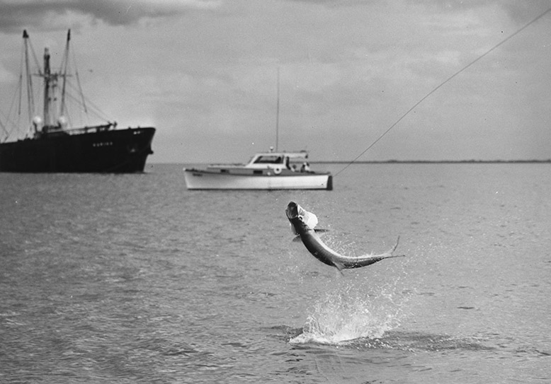 tarpon jumping out of the water with two boats in the background